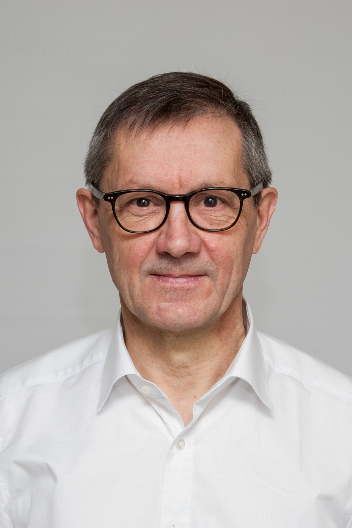 This image shows Prof. Dr.-tech. Günter Scheffknecht